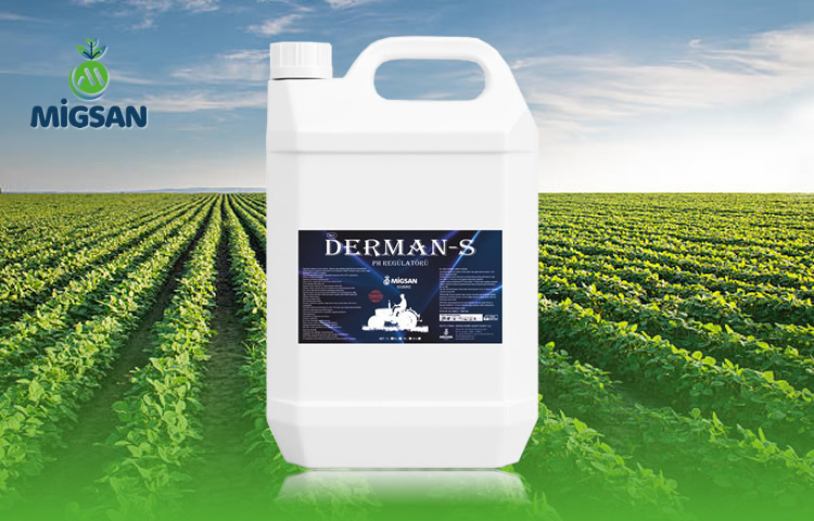 Derman -S